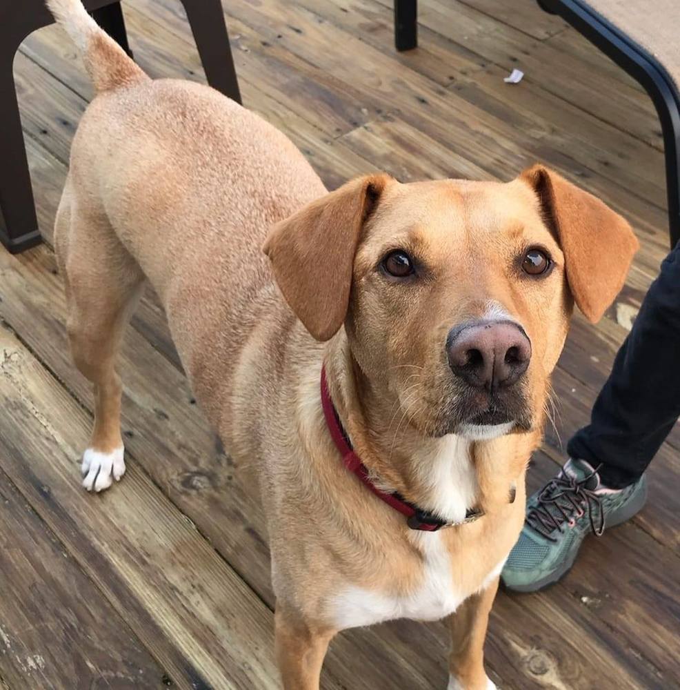 Meet your Posher, Deborah